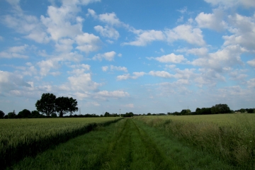 SAVIGNE-SOUS-LE-LUDE-sarthe
