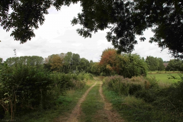 JUILLE - SAINT-GERMAIN-SUR-SARTHE-sarthe