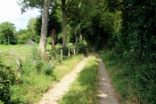 CRISSE - NEUVILLALAIS-sarthe