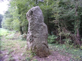 BEAUMONT-PIED-DE-BOEUF - CIRCUIT B1 ET B2-sarthe