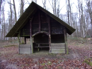 JUPILLES - FORET DE BERCE-sarthe