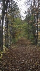 MAROLLES-LES-BRAULTS-sarthe