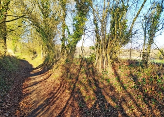 ST-MARS-LA-BRIERE - CIRCUIT DE LA PECARDIERE-sarthe