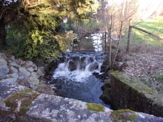 SILLE-LE-PHILLIPE - LES AULNAYS-sarthe