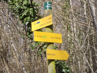 SAINT-MARS-DE-LOCQUENAY - FORET DE LA CHESNAYE-sarthe