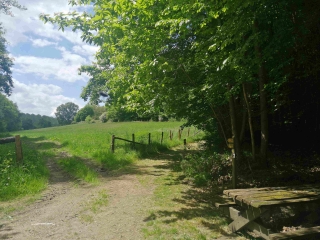 LES TROIS PIERRES - SAINT-JEAN-DE-LA-MOTTE-sarthe