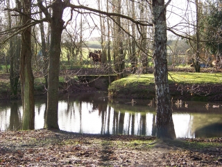 NUILLE-LE-JALAIS-sarthe