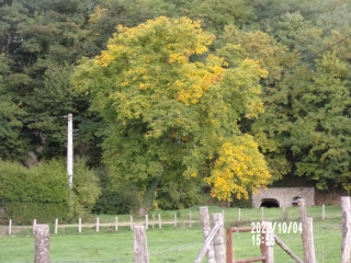 FLEE - CHAPELLE SAINTE-CECILE-sarthe