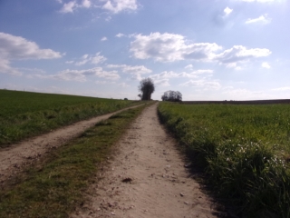 MAYET - VERNEIL-LE-CHETIF-sarthe