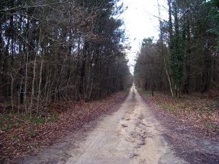 BUTTE DES ROSSAYS-sarthe
