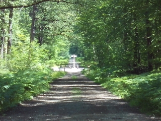 BERCE - SAINT HUBERT-sarthe