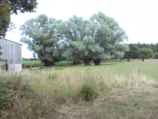 LA GUIERCHE - JOUE L ABBE-sarthe
