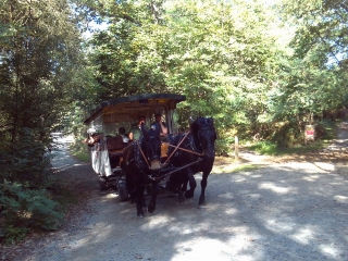 CHANGE - BOIS DE L EPAU-sarthe