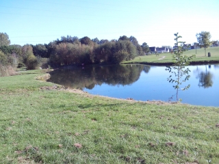 CHANGE - BOIS DE L EPAU-sarthe