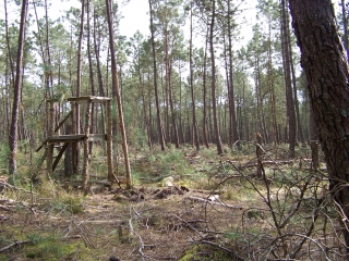 BRETTE-LES-PINS-sarthe