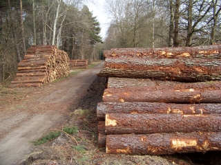 BRETTE-LES-PINS-sarthe