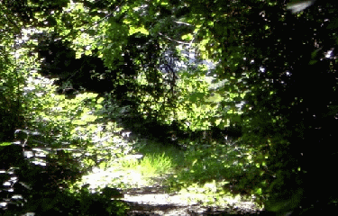 SARGE-LES-LE-MANS-sarthe