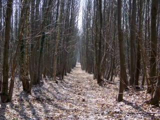 VOLNAY - CIRCUIT DE LA VALLEE-sarthe