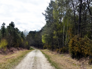 SAINT-MARS-DE-LOCQUENAY-sarthe