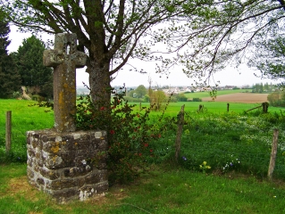 SAINTE-SABINE-SUR-LONGEVE-sarthe