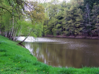 SAINTE-SABINE-SUR-LONGEVE-sarthe