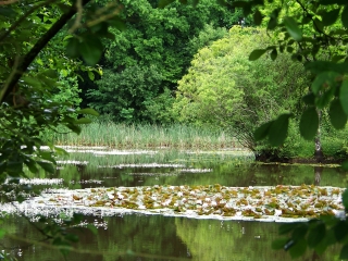 SAINT-SYMPHORIEN-sarthe