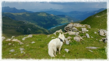 SORTIE LAC DU PRESSET-savoie