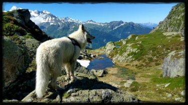 SORTIE LAC DU RETOUR-savoie