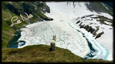 SORTIE LAC NOIR-savoie