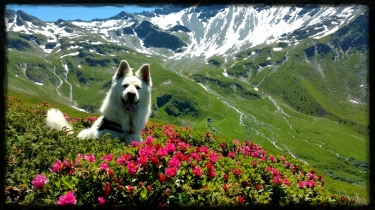 SORTIE LAC NOIR-savoie