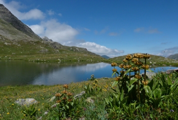 LAC CURTALES-savoie