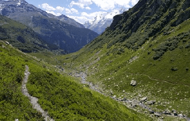 TORRENT DE LA LOUIE BLANCHE-savoie