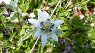RANDO DES 3 LACS - REFUGE DU PLAN DU LAC-savoie