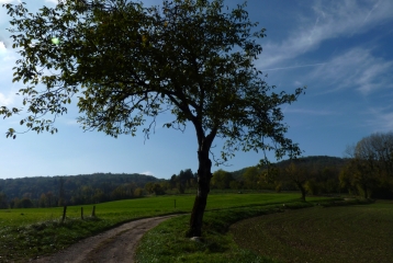 LES LACS DU CHEVELU-savoie