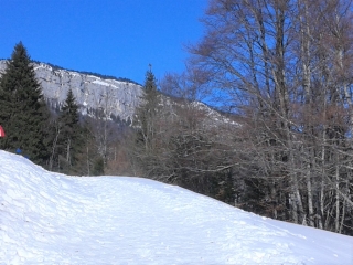 ENTREMONT-LE-VIEUX - COL DU CUCHERON EN RAQUETTES A NEIGE-savoie