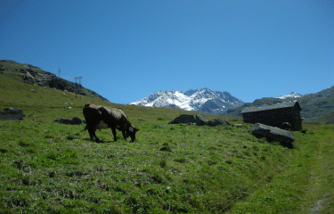 Lac du Lou-savoie