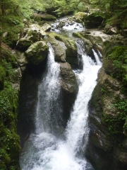 ENTREMONT-LE-VIEUX - LE COZON SAVOIE 73-savoie