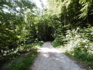 LE DESERT D ENTREMONT - TOUR DU MONT OUTHERAN-savoie