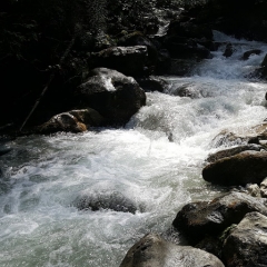 MOULIN - VALLEE DU PONTURIN-savoie