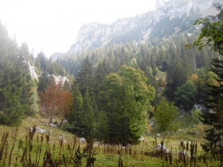 LES VARVATS - SENTIER TRACARTA - TROU DE LA RAGNE-savoie