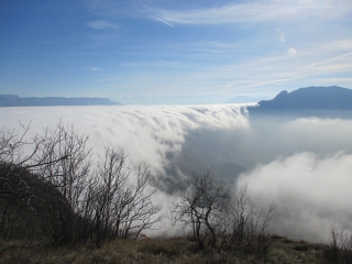 ONTEX - LA CHARVAZ (alt.1150M)-savoie
