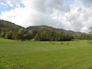 LE PONT-DE-BEAUVOISIN-savoie
