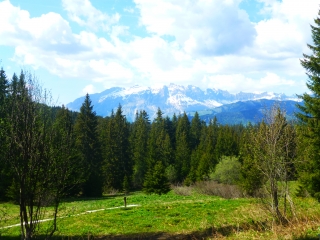 ND-DE-BELLECOMBE - SENTIER DE COVETAN-savoie