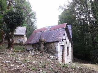 LE DESERT D ENTREMONT - LA ROCHE VEYRAND (ALT. 1290M)-savoie