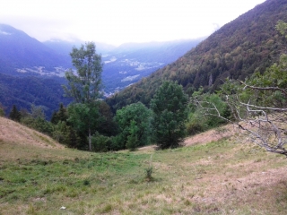 LE DESERT D ENTREMONT - LA ROCHE VEYRAND (ALT. 1290M)-savoie