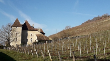 BOUCLE JONGIEUX - LUCEY (SAVOIE)-savoie