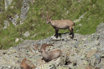 COL DE LA CROIX (2)-savoie