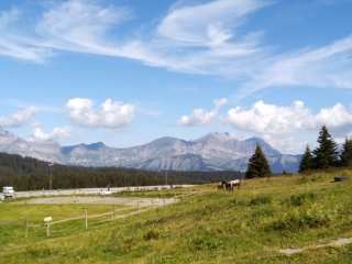 LE CHARD DU BEURRE-savoie