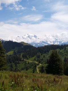 LE CHARD DU BEURRE-savoie