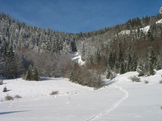 POINTE DE LA COCHETTE (1618M) - RAQUETTES A NEIGE-savoie
